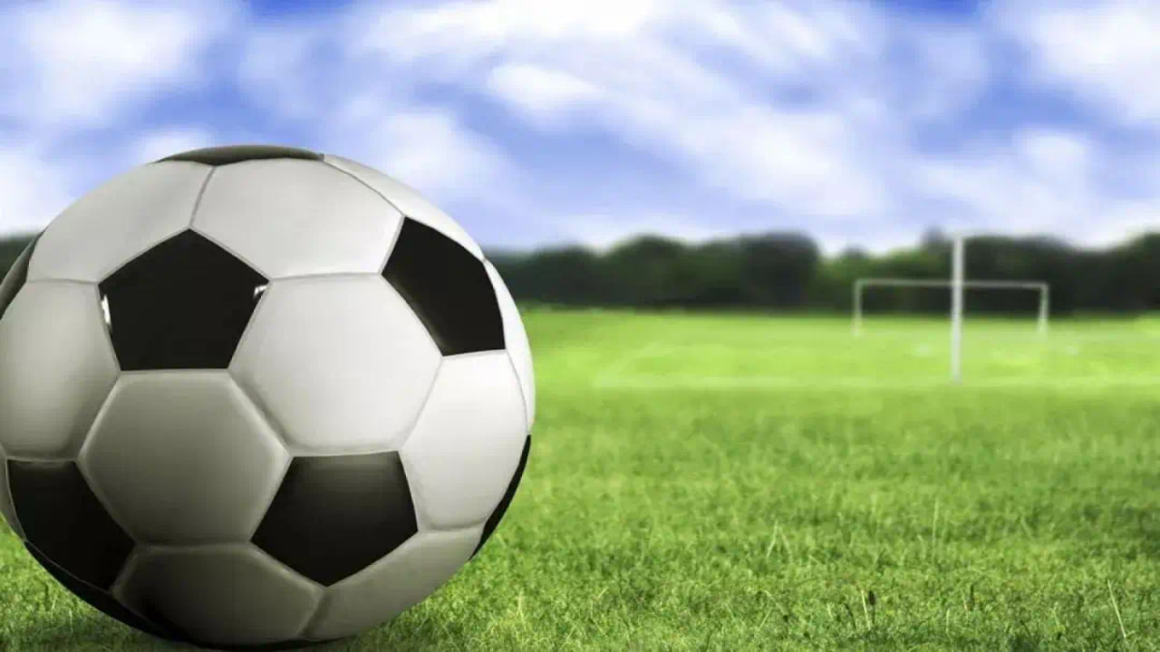 用户李女士使用体验